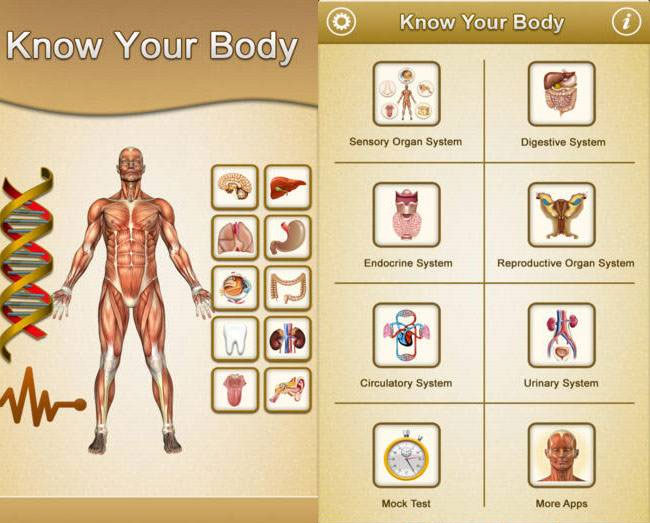 Know your body